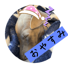 mizuki_20250302173643