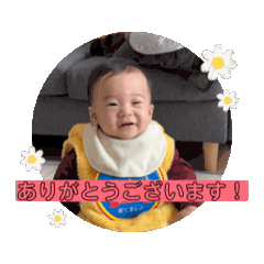 koto_20250302213243