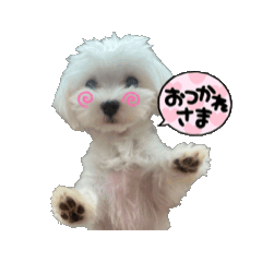 ppppppoooooooo