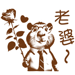 給親愛的老婆 _E2