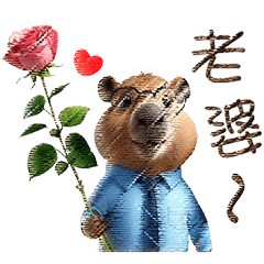 給親愛的老婆 _E9