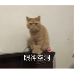 我是tea