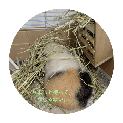 mokumoku_20250302223327