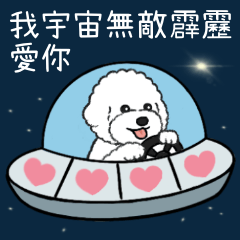 Lover Dog: Bichon Lil Bear