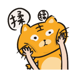 摩羯座的小老虎