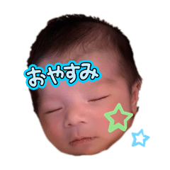 HACHI_20250302151430
