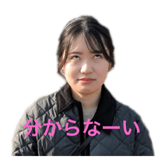 shunpi_20250302230233