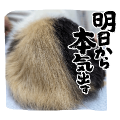 mokumoku_20250302230647