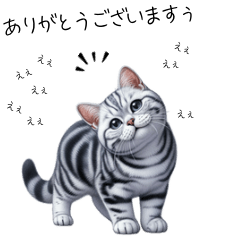 CAT Sticker6