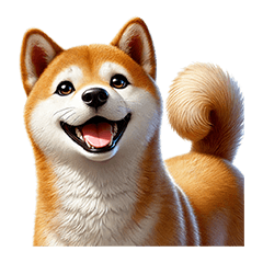 Cute Shiba Inu Kansai Style 3