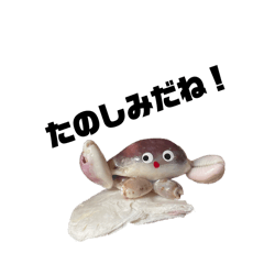 mimi_20250302132044