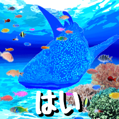 I love whale sharks in Okinawa!