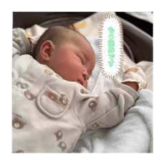 mush_20250302155729