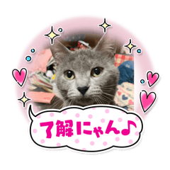 neko_20250302220329