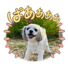 SAYAKA_20250303005519