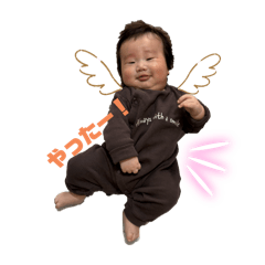 koto_20250303045931