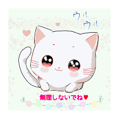koto_20250302195321