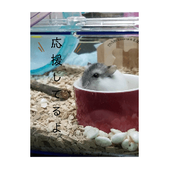 MOCHI_20250302201053