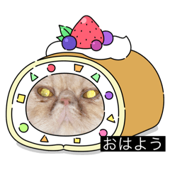 Mr RGO_20250302214329