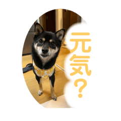 muginonitijyou part2