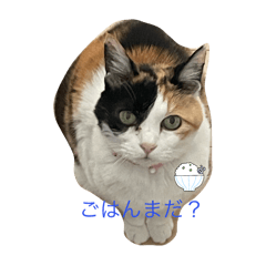 natsu_20250303010253