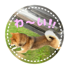 Shin_20250302235316