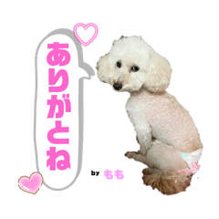 midori_momo