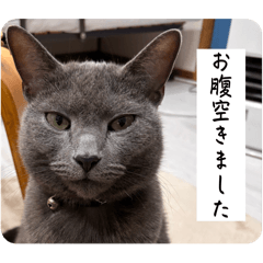 hono_20250302205134