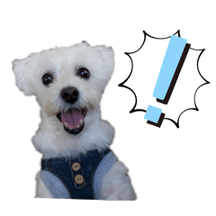 natsu_20250302205019