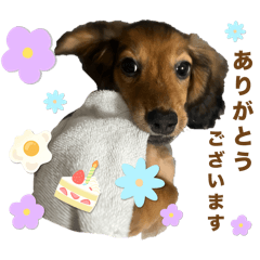 moko_20250302204150