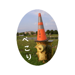 SK_20250301225439