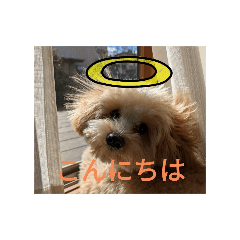 hina_20250302180839