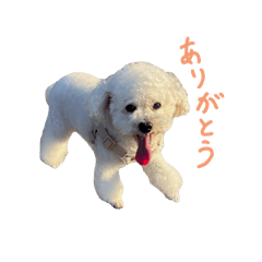 hina_20250302181515