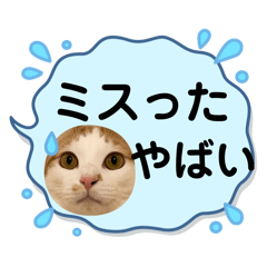 Riku_20250302181748