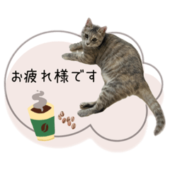 ccocochi's stamp