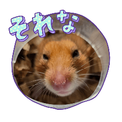 AKI20250302
