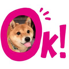 Koko_20250303081910