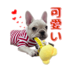 iroha_20250302211704