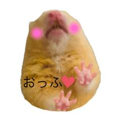 yuka_20250303071534