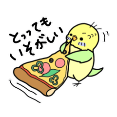 pukupuku parakeet and bread