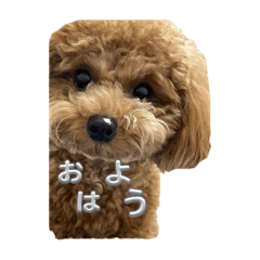 sakiii_20250302212202