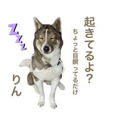 Yuka_20250303125052
