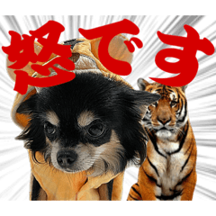 rYu_20250303124540