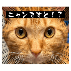 Satoshi_20250302205809