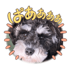 bitachan-