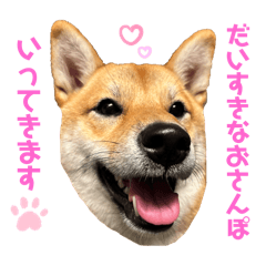 misaki_20250303020135