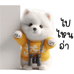 Cute samoyed pup With Yellow Sweater