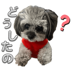 akachin_20250303111019