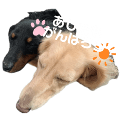 SUZU_20250303111141