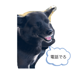 MakiKohaku